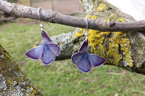 Chalk Hill Blue butterfly earrings by Photofinish Jewellery